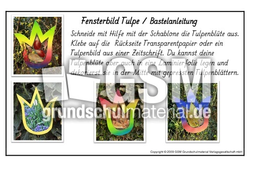 Fensterbild-Tulpe-1-Bastelanleitung-2.pdf